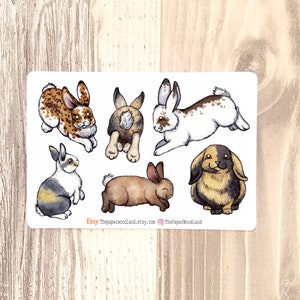 Cute Bunny Stickers, Rabbit Planner Stickers, Animal Stickers, Farm animal 4H stickers