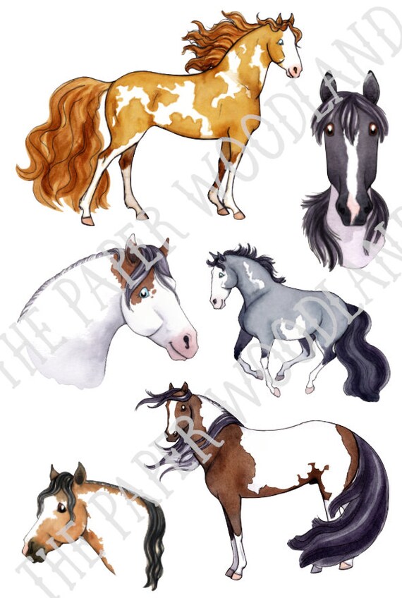 Paint Horse Planner Stickers Cute Horse Stickers BUJO Horse stickers Animal 4H Sticker