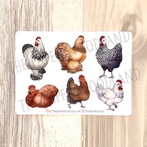 Chicken Planner Stickers, Cute Farm Stickers, Hand drawn Watercolor Hen Stickers, Wyandot hens 4H Stickers