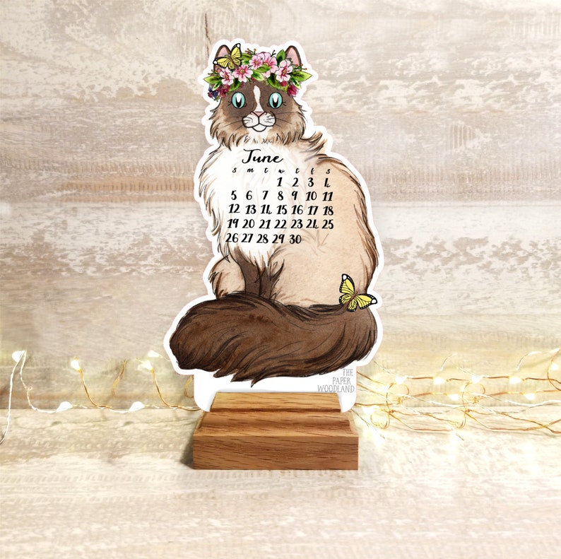 2023-pre-order-cat-desk-calendar-2023-cat-calendar-etsy