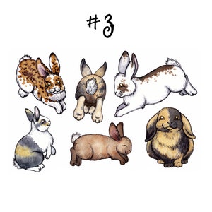 May include: A watercolor illustration of six rabbits in various poses. The rabbits are brown, white, and black with spots. The illustration is labeled with the number "#3".
