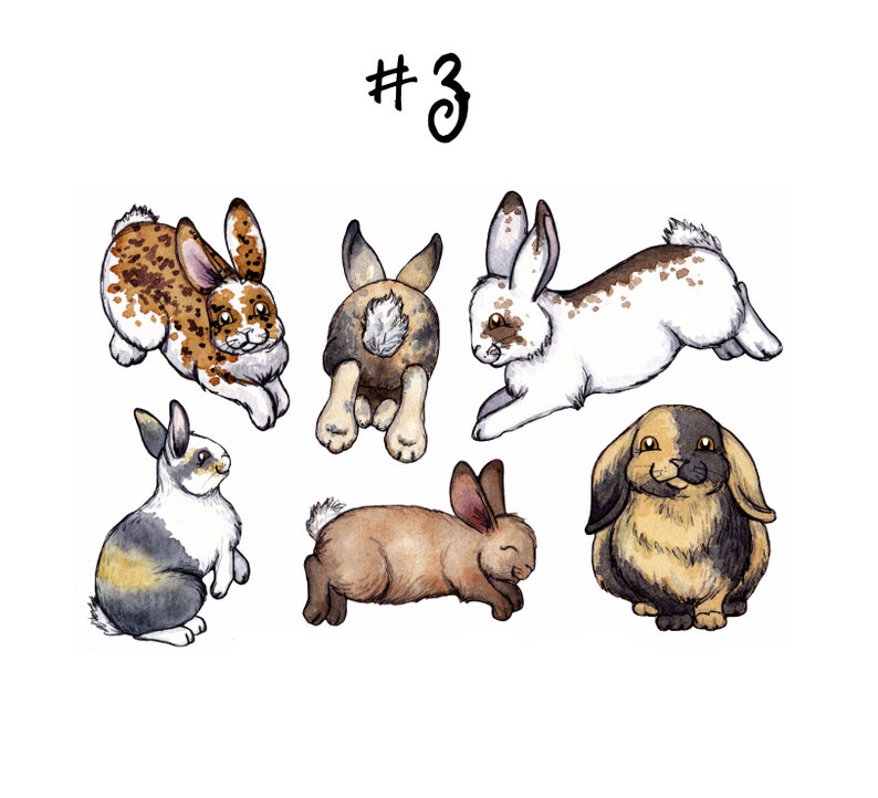 May include: A watercolor illustration of six rabbits in various poses. The rabbits are brown, white, and black with spots. The illustration is labeled with the number "#3".