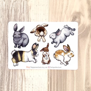 Farm animal Rabbit 4H stickers, Cute Bunny Stickers, Rabbit Planner Stickers, Animal Stickers