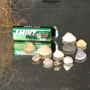 Blikken metalen doos met schelpencadeau - SMINT CHICLE, vintage jaren 90