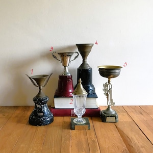Vintage Metal Trophies, Perfect for Décor & Artistic Photography, 5 Different Models, Sold Separately