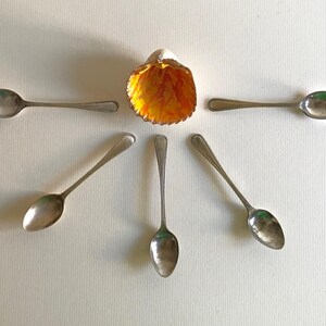 Peut inclure: Cinq cuillères en métal argenté disposées en demi-cercle autour d'un coquillage. L'intérieur du coquillage présente des stries aux couleurs vives orange et jaune, contrastant avec l'éclat métallique des cuillères en métal argenté.