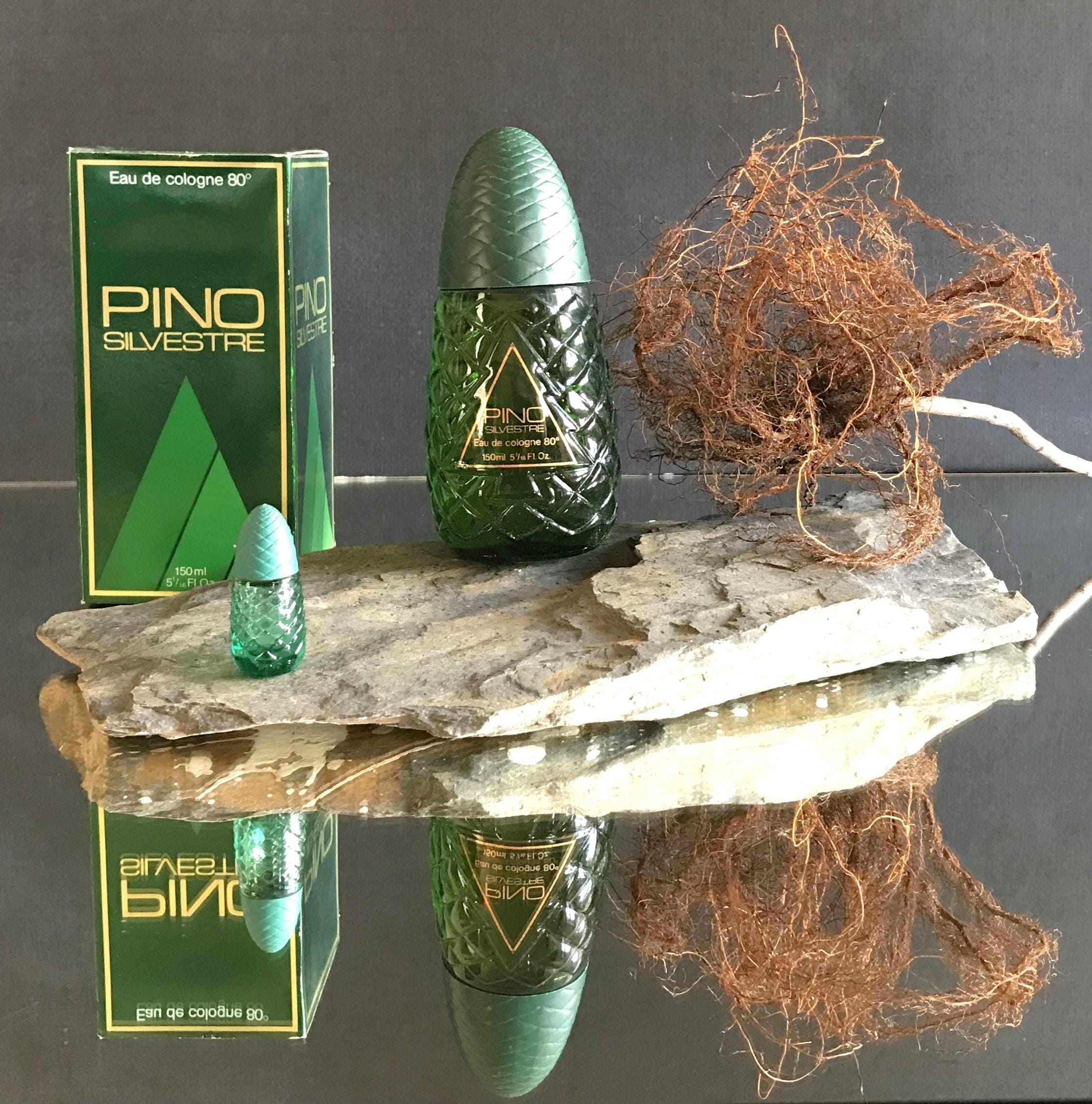 Vintage Pino Silvestre Eau De Cologne: 1970s Wild Pine Scent 
