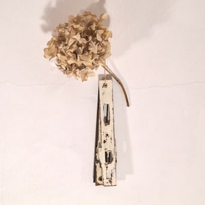 以下が含まれることがあります： 白く風化した木製の窓のシャッターに、乾燥したアジサイの花がぶら下がっている