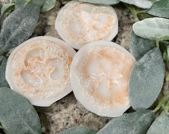 May include: Three white loofah soap rounds with a light brown center, arranged on a bed of green and white foliage.
