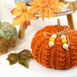 May include: An orange crocheted pumpkin with a twine stem and wooden beads. The pumpkin is surrounded by fall foliage, including leaves and a flower. A green crocheted pumpkin is in the background.