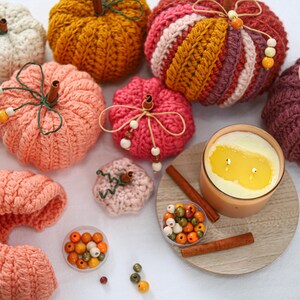 May include: A collection of crocheted pumpkins in various colors including white, orange, pink, and dark purple. Each pumpkin features a cinnamon stick stem, green wire tendrils, and wooden beads. A candle in a glass jar and loose beads are included.