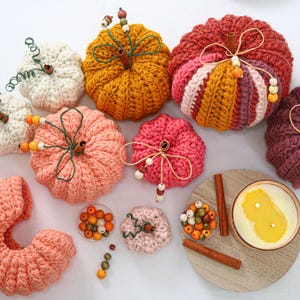 May include: A collection of crocheted pumpkins in various colors including cream, mustard yellow, pink, red, and plum. Each pumpkin features a cinnamon stick stem, green wire tendrils, and small wooden beads. A candle and loose beads are included.