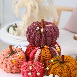 May include: A collection of crocheted pumpkins in various colors including plum, mustard yellow, pink, and cream. Each pumpkin features a cinnamon stick stem, a thin cord tied in a bow, and small wooden beads hanging from the cord as decorative accents.