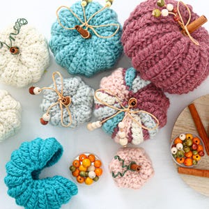 May include: A collection of crocheted pumpkins in various sizes and colors including white, teal, light blue, pink, and dark mauve. Each pumpkin features a cinnamon stick stem, twine, and wooden beads. Small bowls of colorful wooden beads are included.