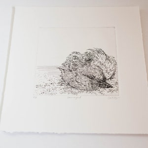 Small Bird Etching Original Art