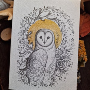 Arte original, lechuza común, ilustración original, dibujo al carboncillo