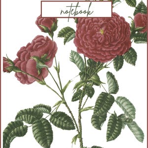 Può includere: Quaderno con un design floreale con grandi rose rosso scuro e foglie verdi su sfondo bianco. La parola "notebook" è scritta in corsivo all'interno di una cornice rettangolare.