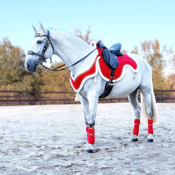 Equestrian costume set - Saddle cloth and collar - Christmas - Red velvet