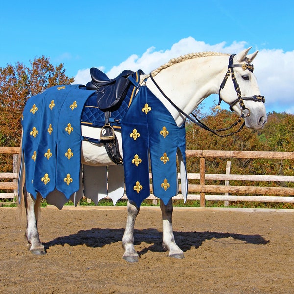 Costume équestre Chevalier - Médiéval/Renaissance - Velours bleu marine - Fleur de lys dorées