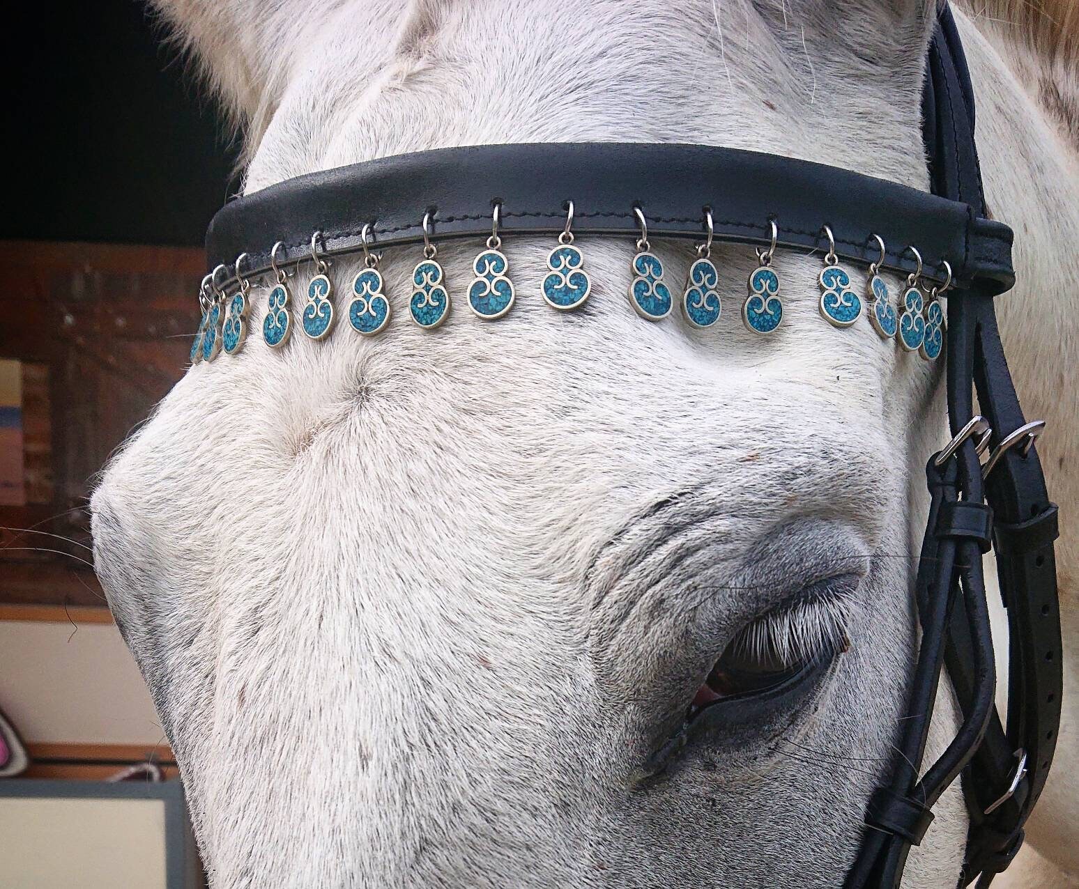 Frontal - Cuir Noir Infini Turquoise