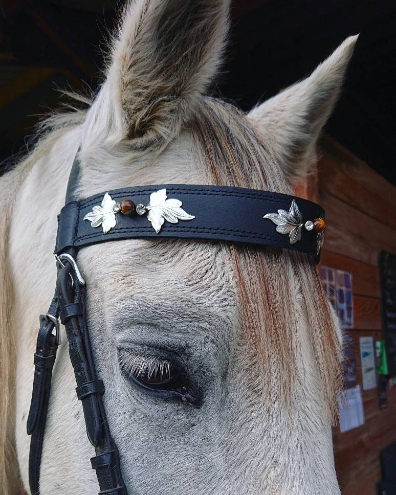 Frontal - Cuir Noir Silver Leaf