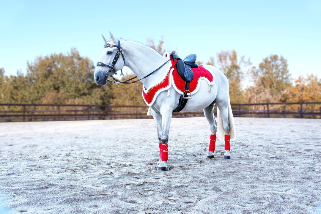 Le Père Noël Et Le Renne De Noël Se Bouchent Sur Une Illustration De Fond Blanc Pour Un Design