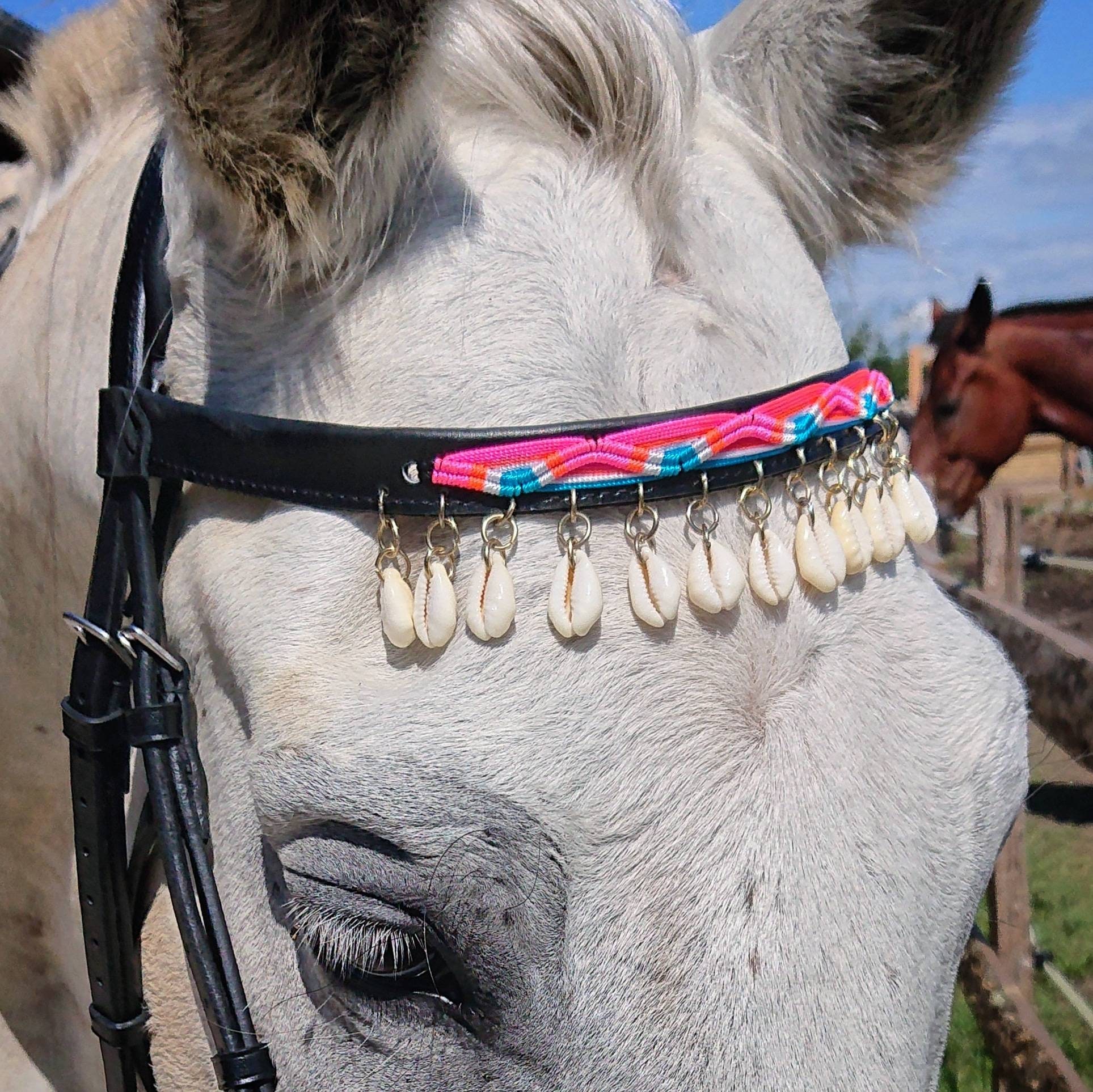 Frontal - Cuir Noir On The Beach