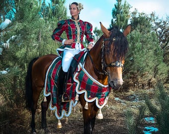 christmas fancy dress horse and rider Santa Claus Costume