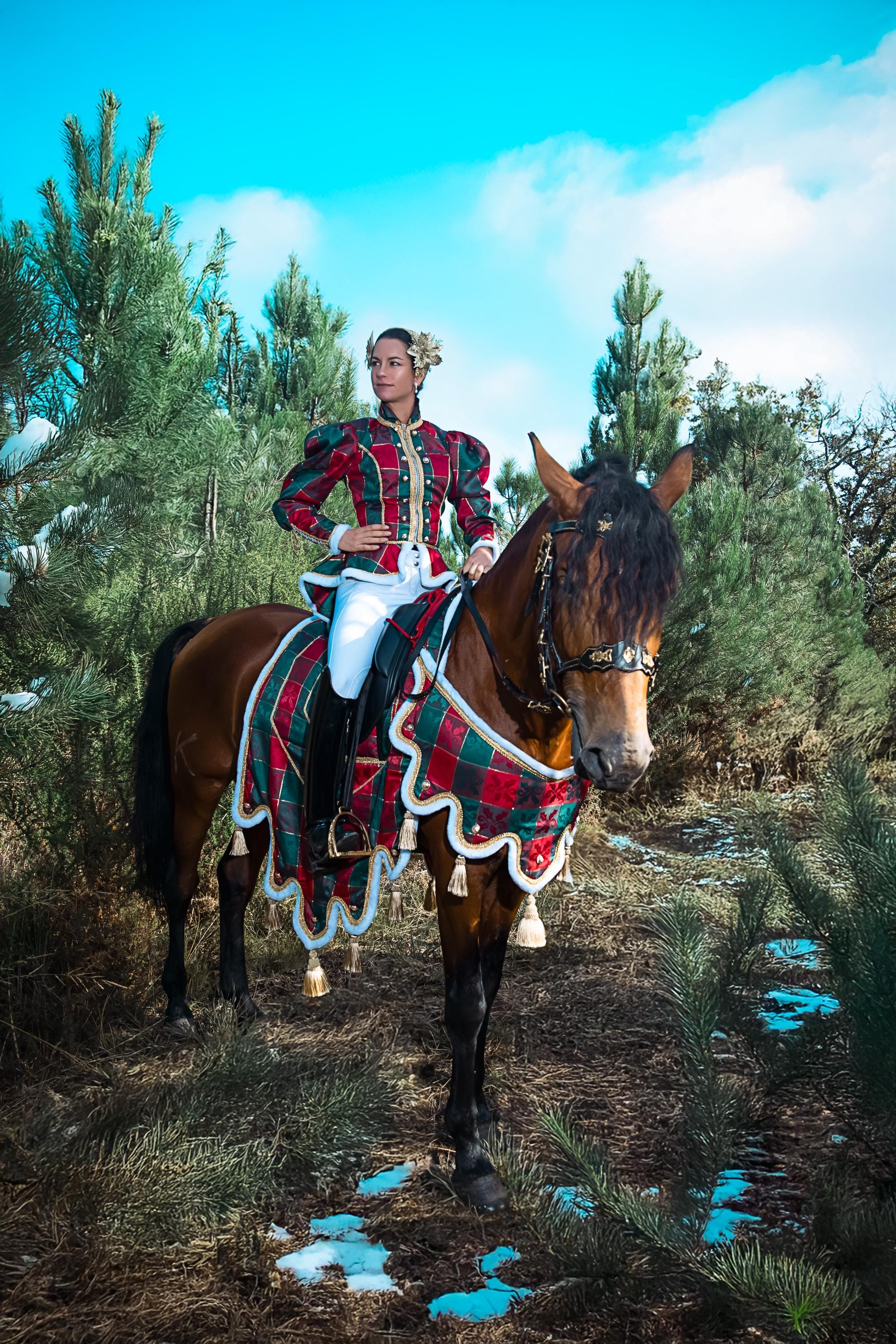 Christmas Equestrian Costume Set - Christmas Parade - Red and Green Checks  - Etsy