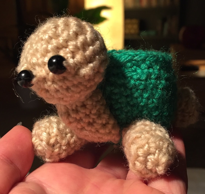 Turtle ring holder jewellery box crochet bowl.