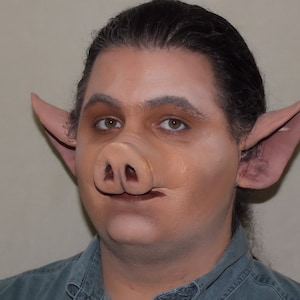 May include: A person wearing a blue shirt with pig ears and a pig nose attached to their face.