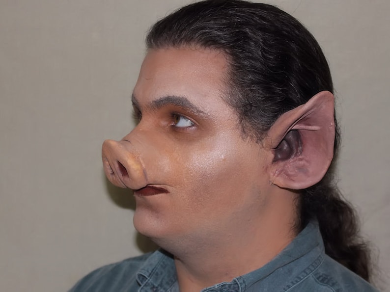 May include: A person wearing a blue shirt with a pig nose and large ears attached to their face.