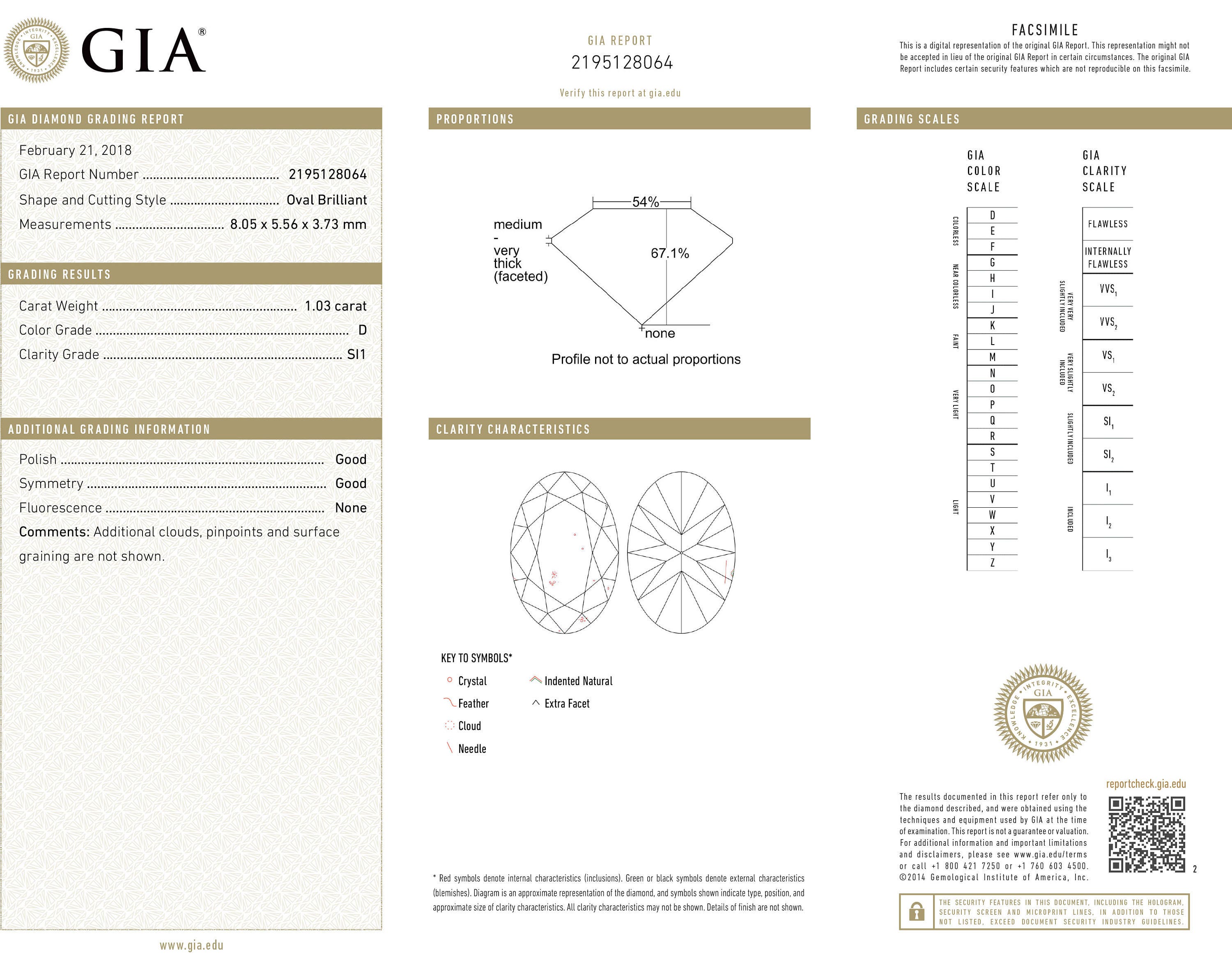 103 carat oval brilliant GIA certified D SI1 color image 0