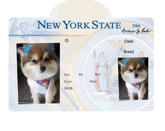New York State Driver's License Dog Tag DOG DMG Metal