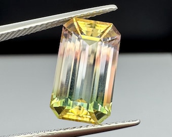 Bi-color multi color Tourmaline 5.3ct
