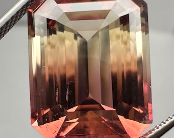Giant 17ct Bi-color Tourmaline. Collectors grade gem.