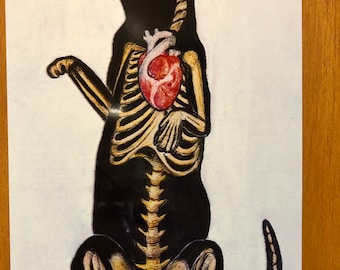 Könnte beinhalten: Eine Schwarzweißillustration eines Katzenskeletts mit einem roten Herzen in seinem Brustkorb.