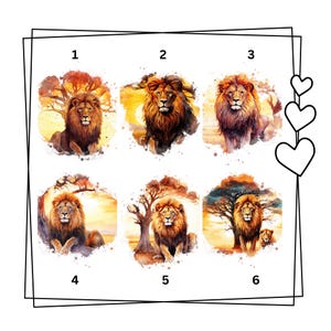 Löwe, Bügelbild, einfach & schnell aufgebügelt, Lion, Afrika, Kinder, Erwachsene, Shirt Design, Aufbügler, bügeln, Geschenk, Urlaub