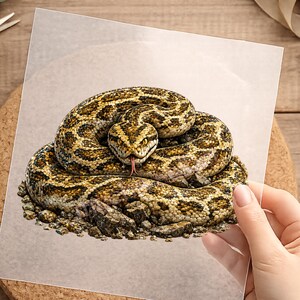Bügelbild, Schlange, Python, einfach aufbügeln, Reptilien, Geschenk, DTF, Shirt Design, Aufbügler, Damen, Herren, Kinder