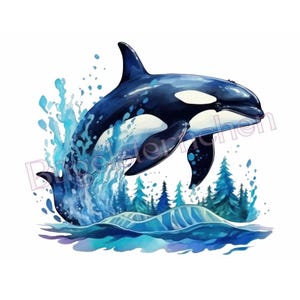 Könnte beinhalten: Aquarellillustration eines Orcas, der aus dem Wasser springt. Der Orca ist schwarz und weiß, mit einem Spritzer blauem Wasser und einem Hintergrund aus stilisierten immergrünen Bäumen. Das Bild hat einen skurrilen, künstlerischen Stil.