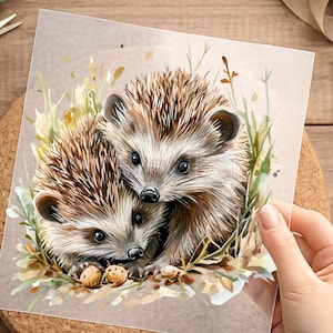Könnte beinhalten: Ein quadratischer Druck mit einer Aquarellillustration von zwei braunen Igeln, die zusammen inmitten von grünem und gelbem Gras kauern. Die Igel haben dunkle Augen, kleine schwarze Nasen und texturierte Stacheln sowie zwei kleine runde Objekte.