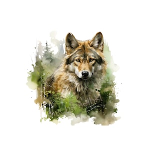 Könnte beinhalten: Aquarellmalerei eines Wolfes mit braunem und hellbraunem Fell, vor dem Hintergrund von grünem Laub und Bäumen. Die Augen des Wolfes sind gelb, und das Kunstwerk hat einen weichen, künstlerischen Stil. Das Bild ist auf weißem Hintergrund.