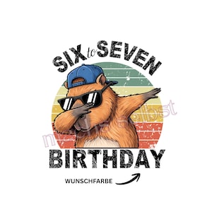 Könnte beinhalten: Grafik eines Cartoon-Bibers mit Sonnenbrille und blauer Kappe, der dabbt. Der Text lautet "SIX to SEVEN BIRTHDAY" in einem Used-Look-Schriftzug, darunter "WUNSCHFARBE". Der Hintergrund ist ein Retro-Kreis mit Streifen.