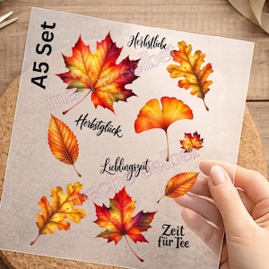 Könnte beinhalten: Ein A5-Bogen mit transparenten Aufklebern, die verschiedene Herbstblätter in Rot-, Orange- und Gelbtönen zeigen. Der Bogen enthält schwarzen Schriftzug mit den Wörtern Herbstliebe, Herbstglück, Lieblingszeit, Zeit für Tee sowie A5 Set.