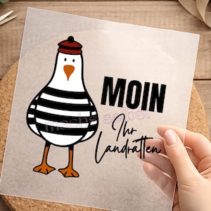 Könnte beinhalten: Eine Illustration einer weißen Möwe mit schwarz-weiß gestreiftem Körper, orangefarbenem Schnabel und Füßen sowie einer roten Mütze. Das Bild enthält das Wort "MOIN" in fetten schwarzen Buchstaben und den Satz "Ihr Landratten".