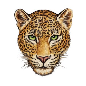 Könnte beinhalten: Detaillierte Illustration eines Leopardenkopfes, der seine charakteristischen Merkmale zeigt. Der Leopard hat ein hellbraunes Fell mit schwarzen Flecken, grüne Augen, eine rosa Nase und lange Schnurrhaare. Das Kunstwerk ist vor weißem Hintergrund.