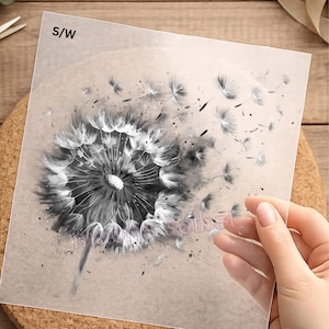 Könnte beinhalten: Schwarz-Weiß-Illustration eines Löwenzahns auf einer transparenten Folie. Der Löwenzahn ist in voller Blüte, mit wegfliegenden Samen. Der Text "S/W" befindet sich in der oberen linken Ecke.
