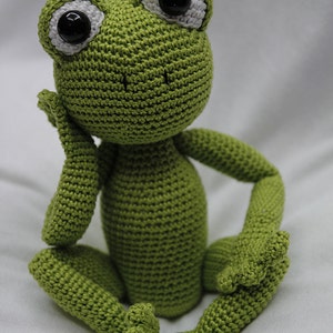 Sam the Frog Pattern image 4