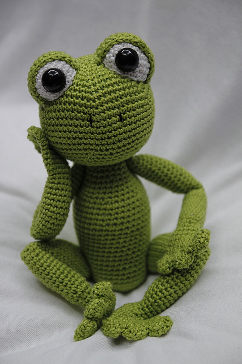 Sam the Frog Pattern image 4