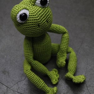 Sam the Frog - Pattern